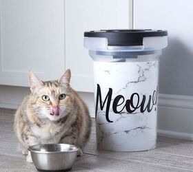 Best Cat Food Storage Containers PetGuide