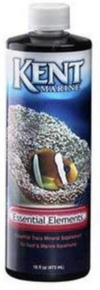 Beautiful view of Top Reef Tank Supplements For Beginners
