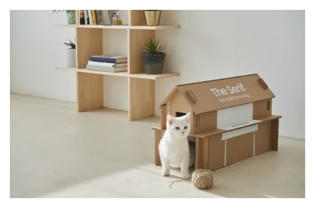 samsung 8217 s new tv boxes turn into cat houses