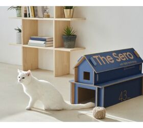 samsungs new tv boxes turn into cat houses