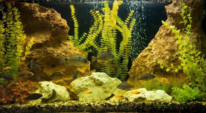 best aquarium pumps