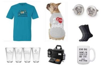 Best Father’s Day Gifts For Dog Dads