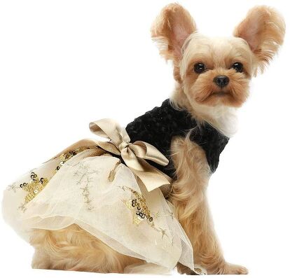 Best Dog Dresses | PetGuide Best Dog Dresses | PetGuide
