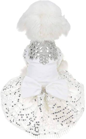 Best Dog Dresses | PetGuide Best Dog Dresses | PetGuide