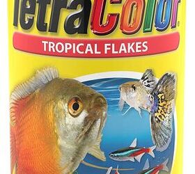 best fish food for tropical fish