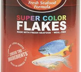 can dogs eat fish food flakes