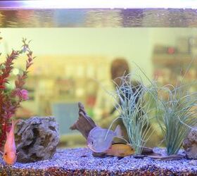 Luigi'S Aquarium/Fish Tank Siphon and Gravel Cleaner - a Hand