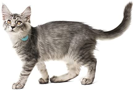best gps cat trackers and collars