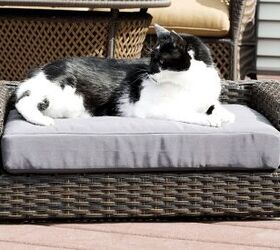Moots Cleopatra Pet Dog Sofa
