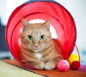 Oliwis Cat Tent Crinkle Kitty Cat Warm Sleeping House Bed Portable Pet Tunnel Play Toys 