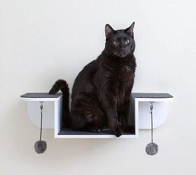 Best Wall Perches for Cats