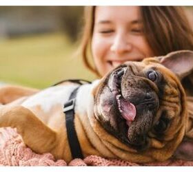 Pet Insurance: How To Help Your Pets Live Their Best Lives