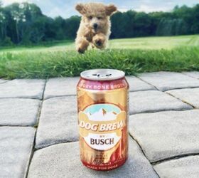 anheuser busch now makes beer for your best friend