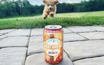 Anheuser-Busch Now Makes ‘Beer’ For Your Best Friend