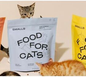 Ding-Dong! Smalls Delivers Your Cat’s Delectable Dinner