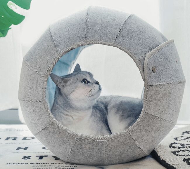 best covered cat beds