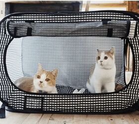 Best Cat Enclosures