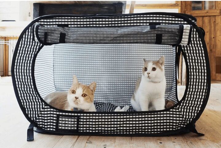 best cat enclosures