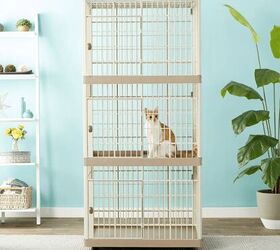 Plexiglass cat enclosure best sale