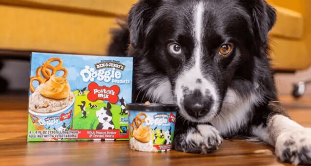 doggie desserts from ben jerry 8217 s yes please