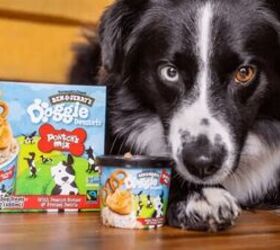 Doggie Desserts From Ben & Jerry’s? Yes, Please!