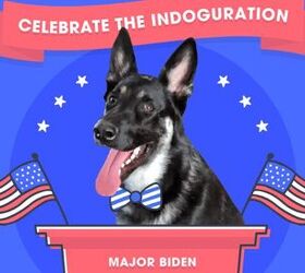 You’re Cordially Invited To The First Dog’s Indoguration!