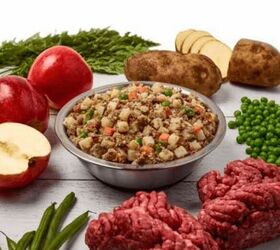 Just Food For Dogs Freshly Made Dog Food That Focuses On Your Dog’s