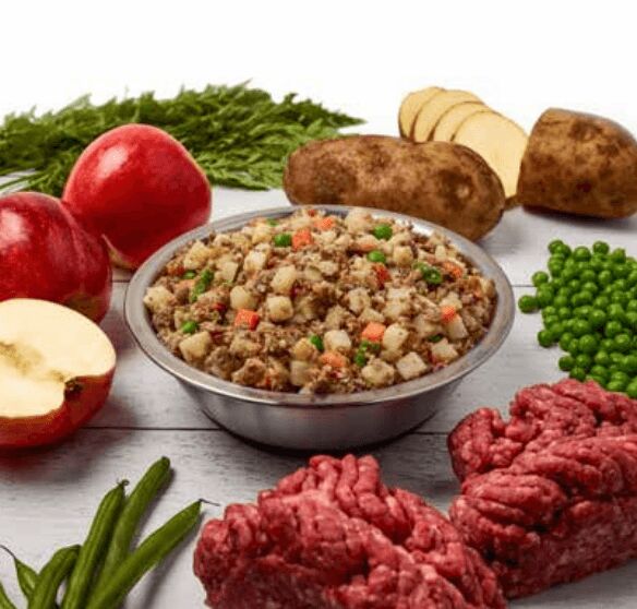 just food for dogs freshly made dog food that focuses on your dogs