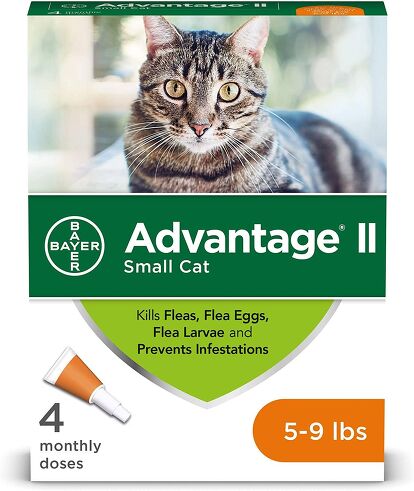 Best Flea Treatment for Cats | PetGuide
