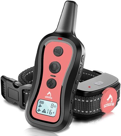 Best Dog Training Collars | PetGuide