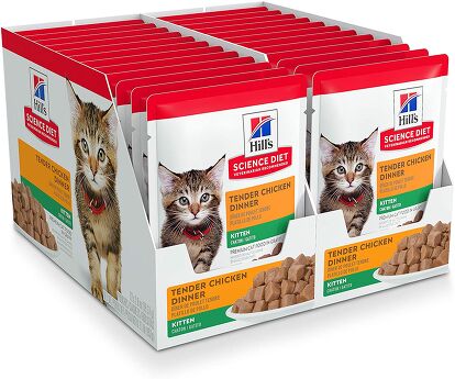 Best Kitten Food | PetGuide