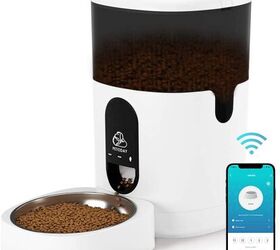 best auto cat feeder 2021 best auto cat feeder 2021