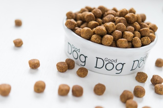 best dry dog food