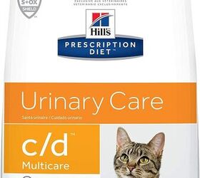 best cat urinary food