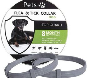 Best natural tick sales collar for dogs