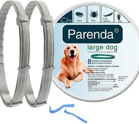 Best dog collar for ticks and fleas best sale