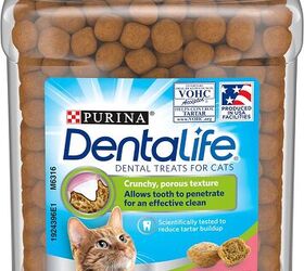 best cat treats for furbo