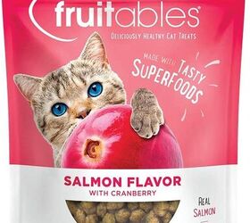 Healthiest cat hot sale treats