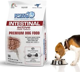 Best Vet Recommended Dog Food | PetGuide