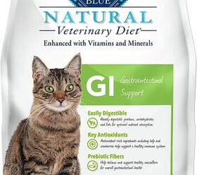 Best Vet Recommended Cat Food | PetGuide