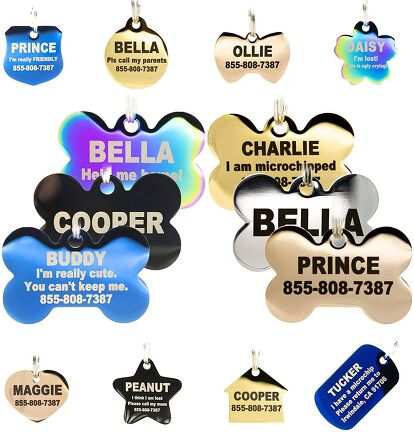 Best Dog ID Tags | PetGuide