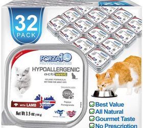 Best Hypoallergenic Cat Food PetGuide