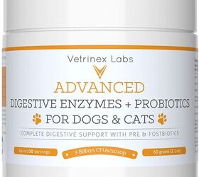 Best Probiotics For Cats | PetGuide