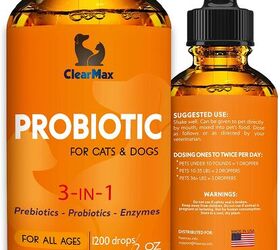 Best Probiotics For Cats | PetGuide