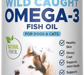 Zesty Paws Alaskan Salmon Oil with Hemp for Dogs & Cats - Omega 3 & 6 Fish  Oil Pet Supplement with Epa & Dha - Anti Itching Skin & Coat Care +