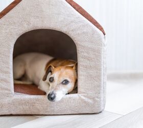 awesome indoor dog houses