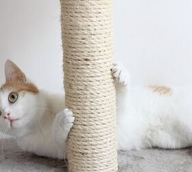 Best Cat Scratching Post