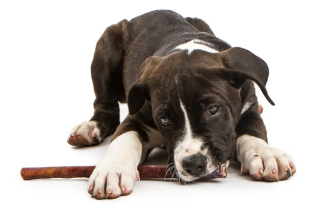 Best Bully Sticks | PetGuide
