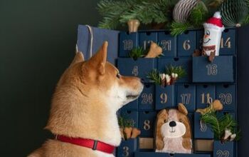 Best Dog Advent Calendar