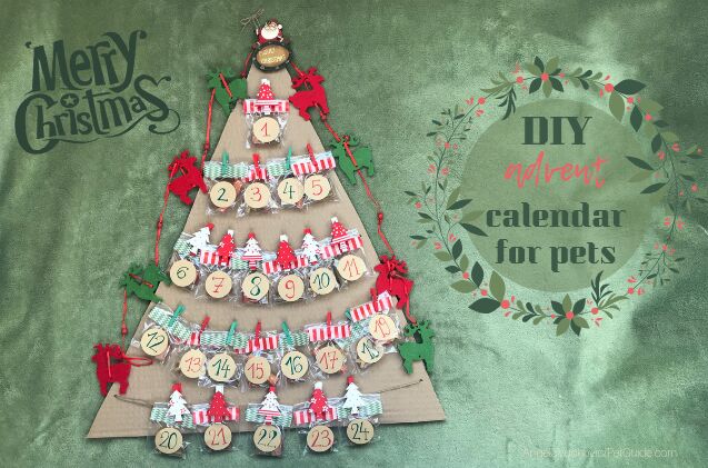best dog advent calendar, Check out our tutorial to make this easy DIY advent calendar for pets